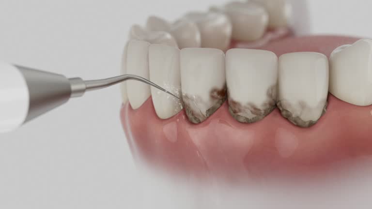 Reliable Dental contractor in Rochester, NH by Dentist Open Now